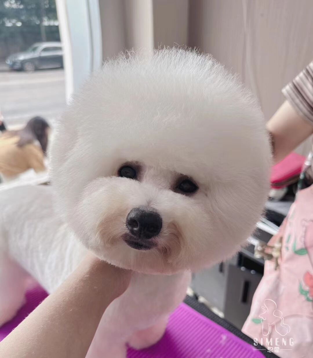 優秀作品