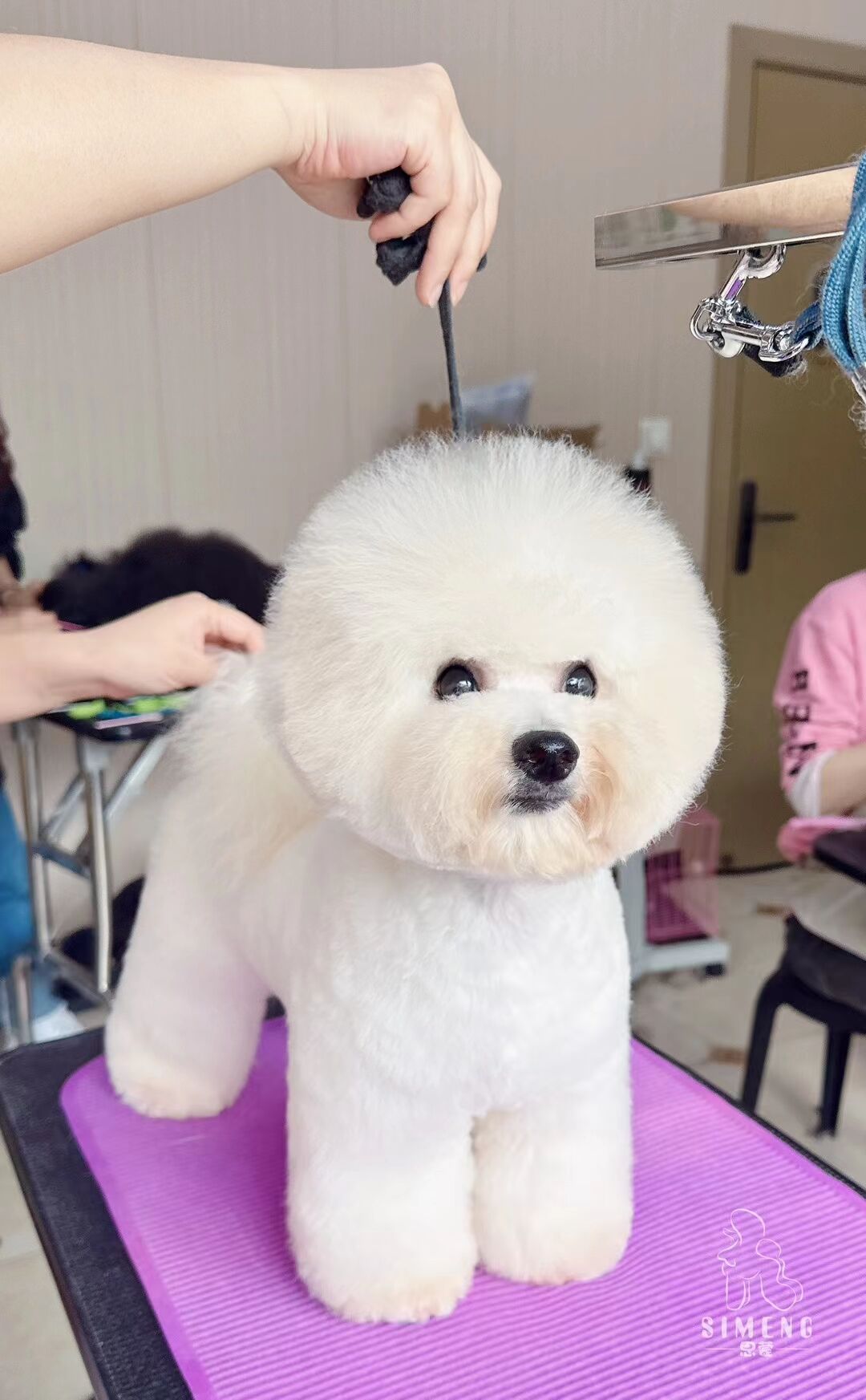優秀作品
