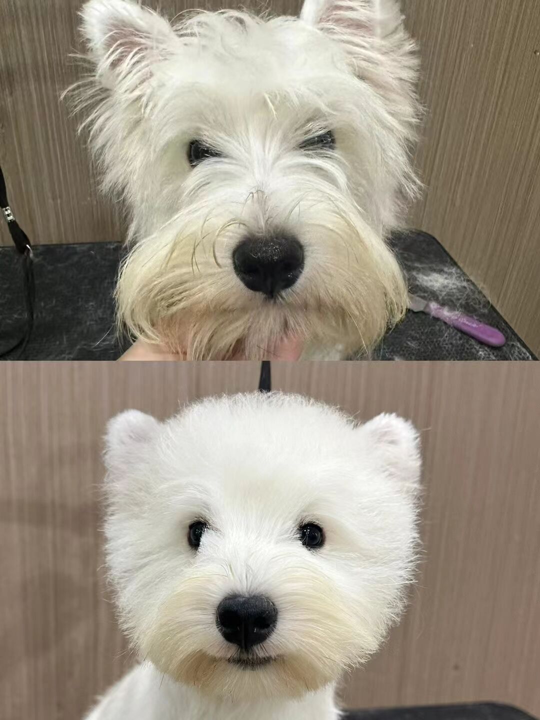 優(yōu)秀作品