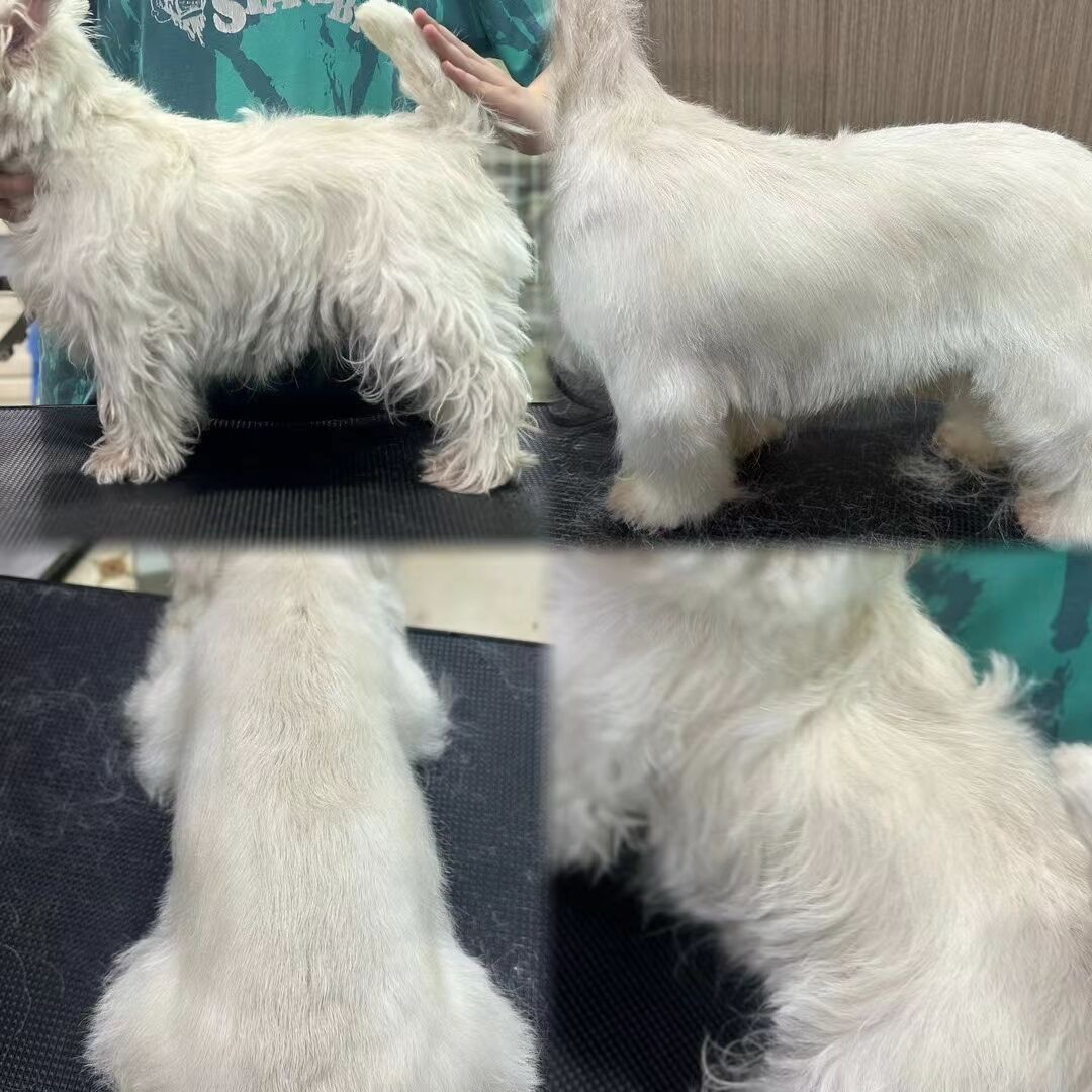 優(yōu)秀作品