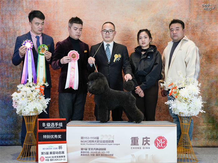 我們的榮譽(yù)