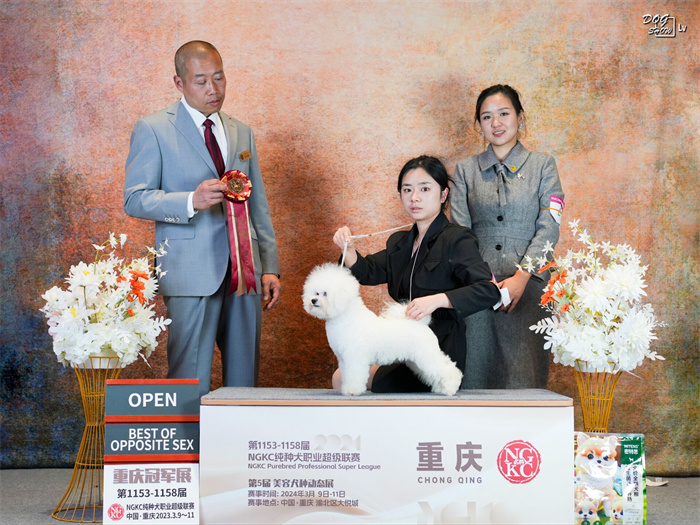 我們的榮譽