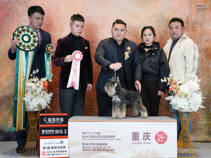 我們的榮譽(yù)