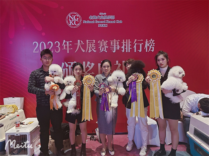 我們的榮譽(yù)