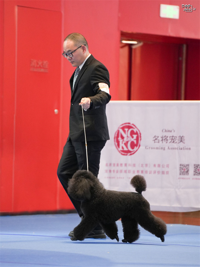 我們的榮譽
