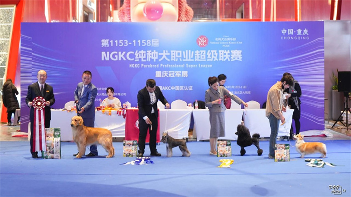 我們的榮譽
