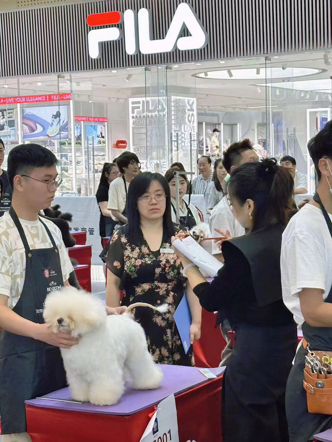 我們的榮譽