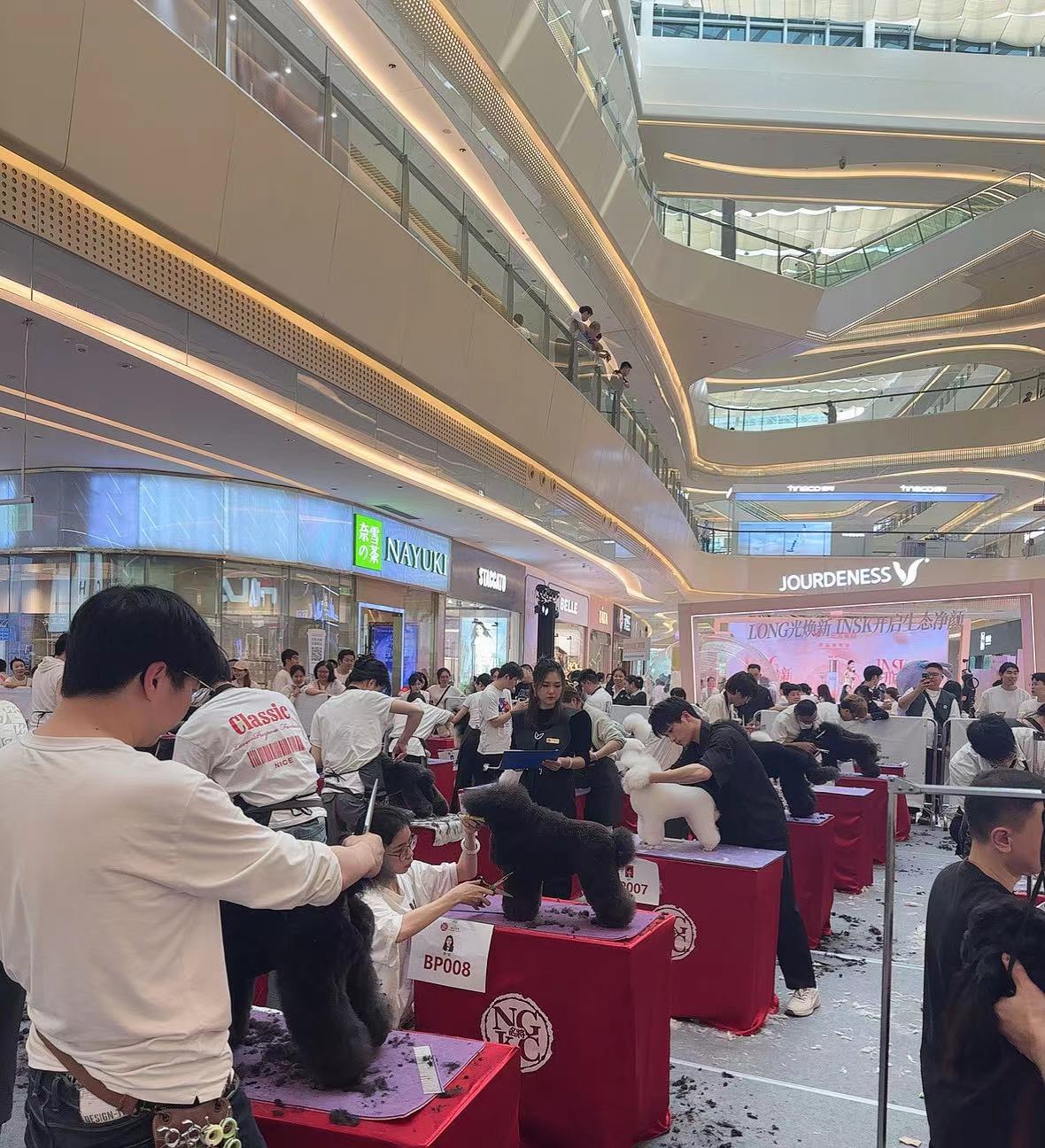 我們的榮譽