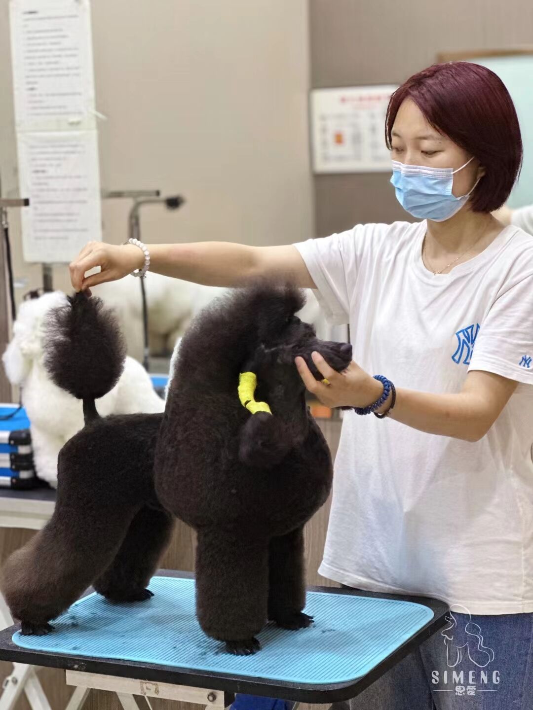 優(yōu)秀作品