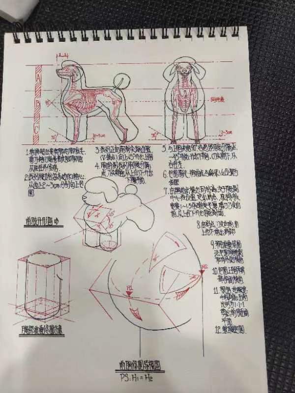 優(yōu)秀作品