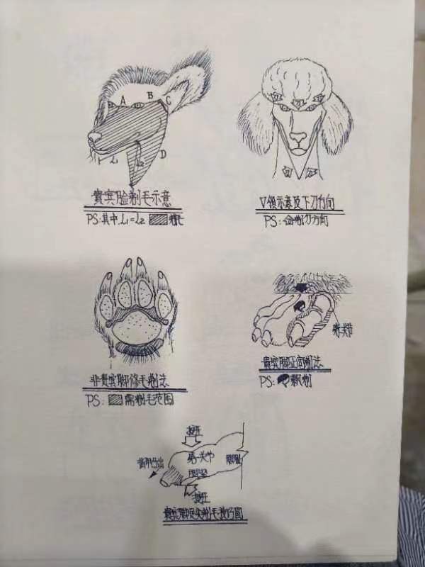 優(yōu)秀作品