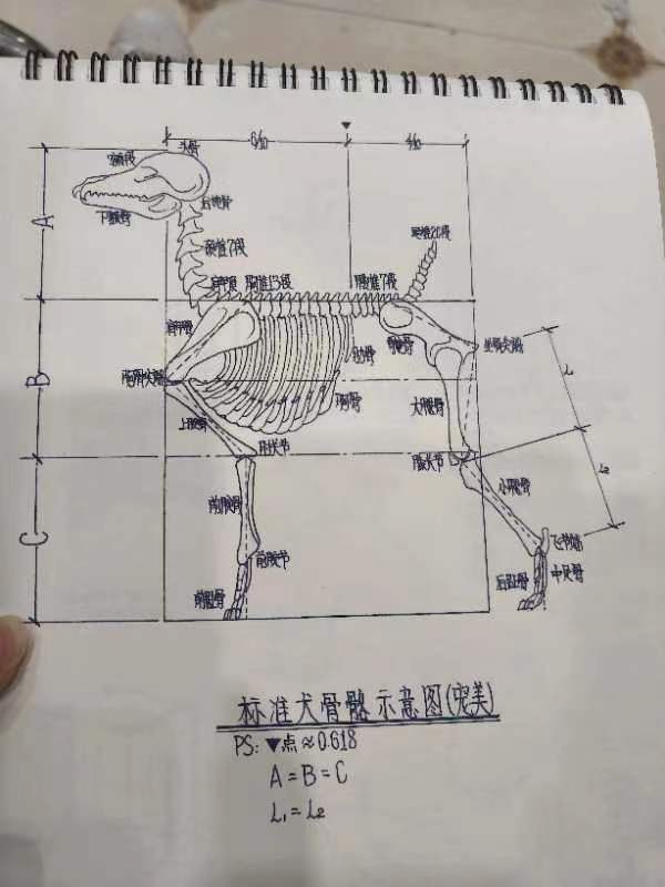 優(yōu)秀作品