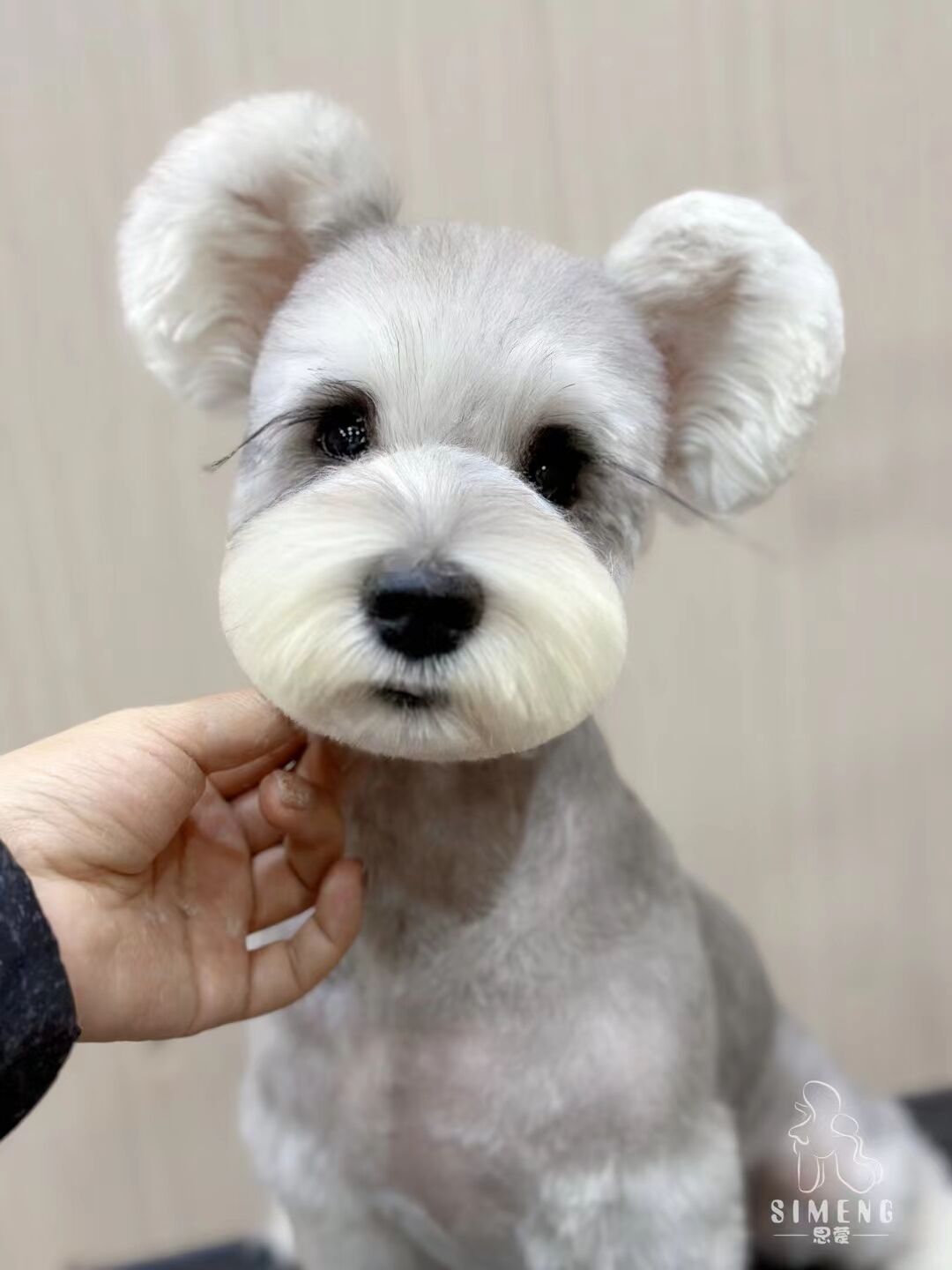 優秀作品