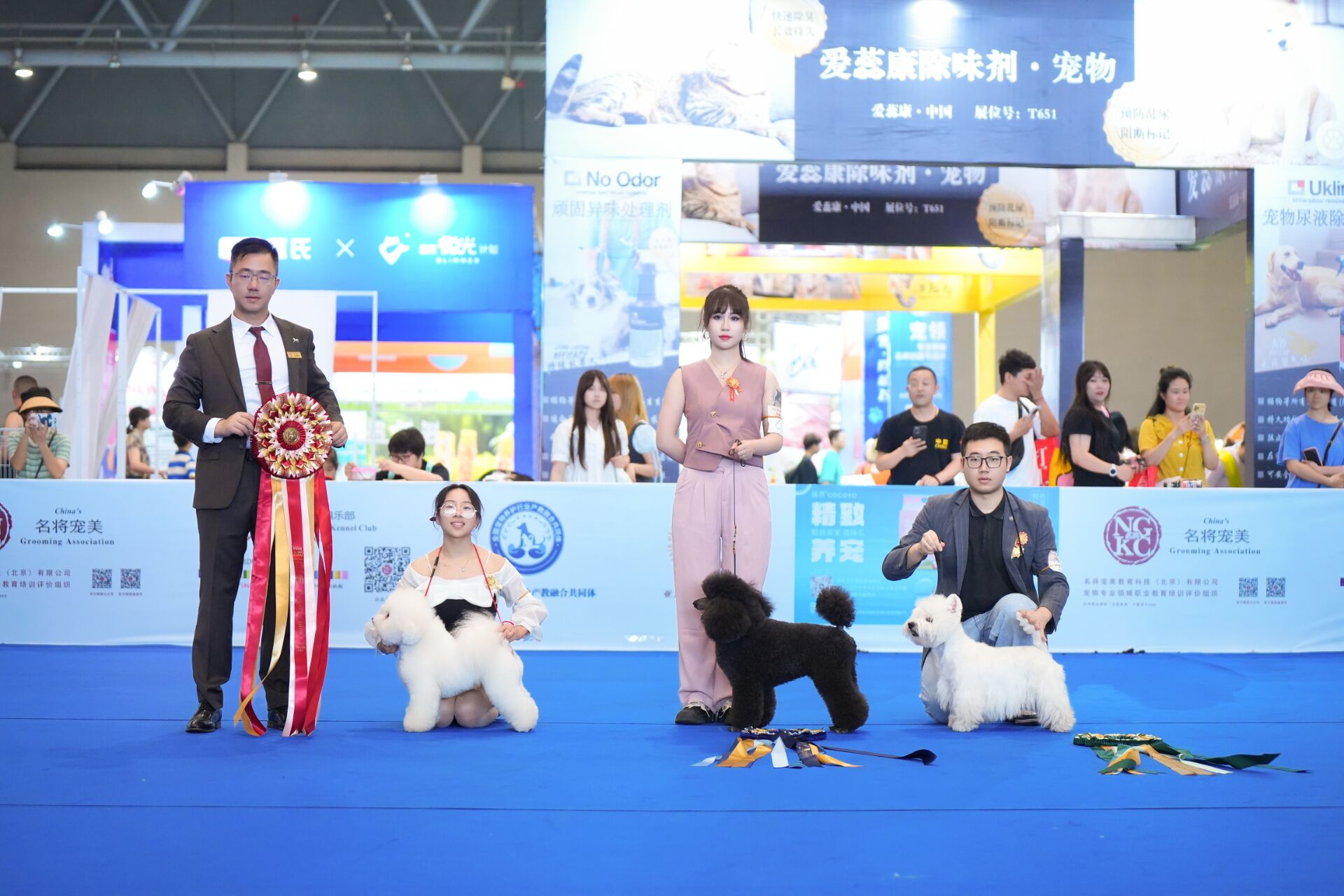 我們的榮譽(yù)