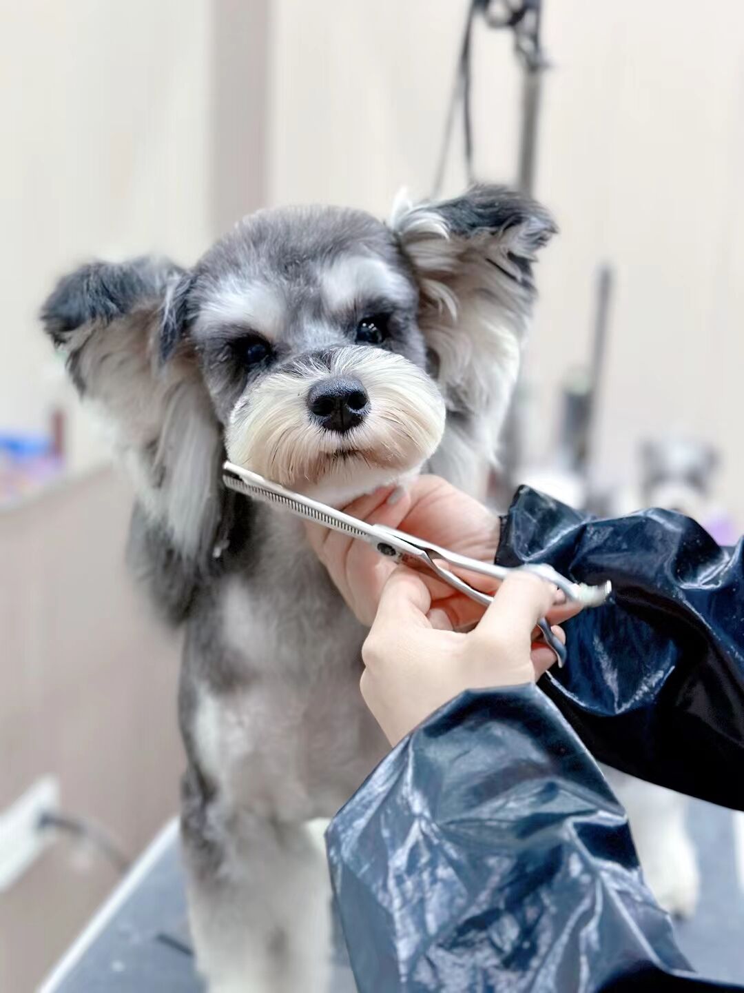 優秀作品