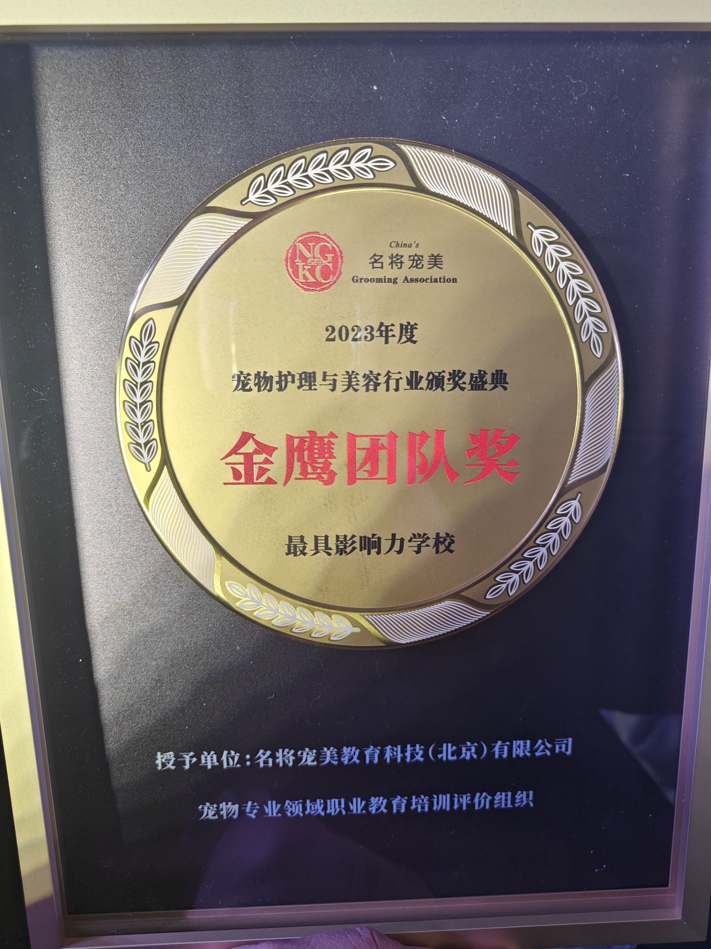 我們的榮譽