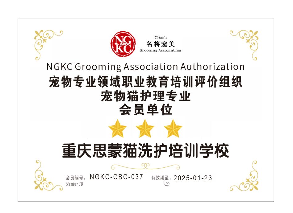 我們的榮譽