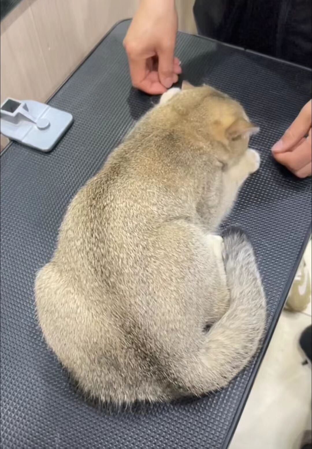 優秀作品