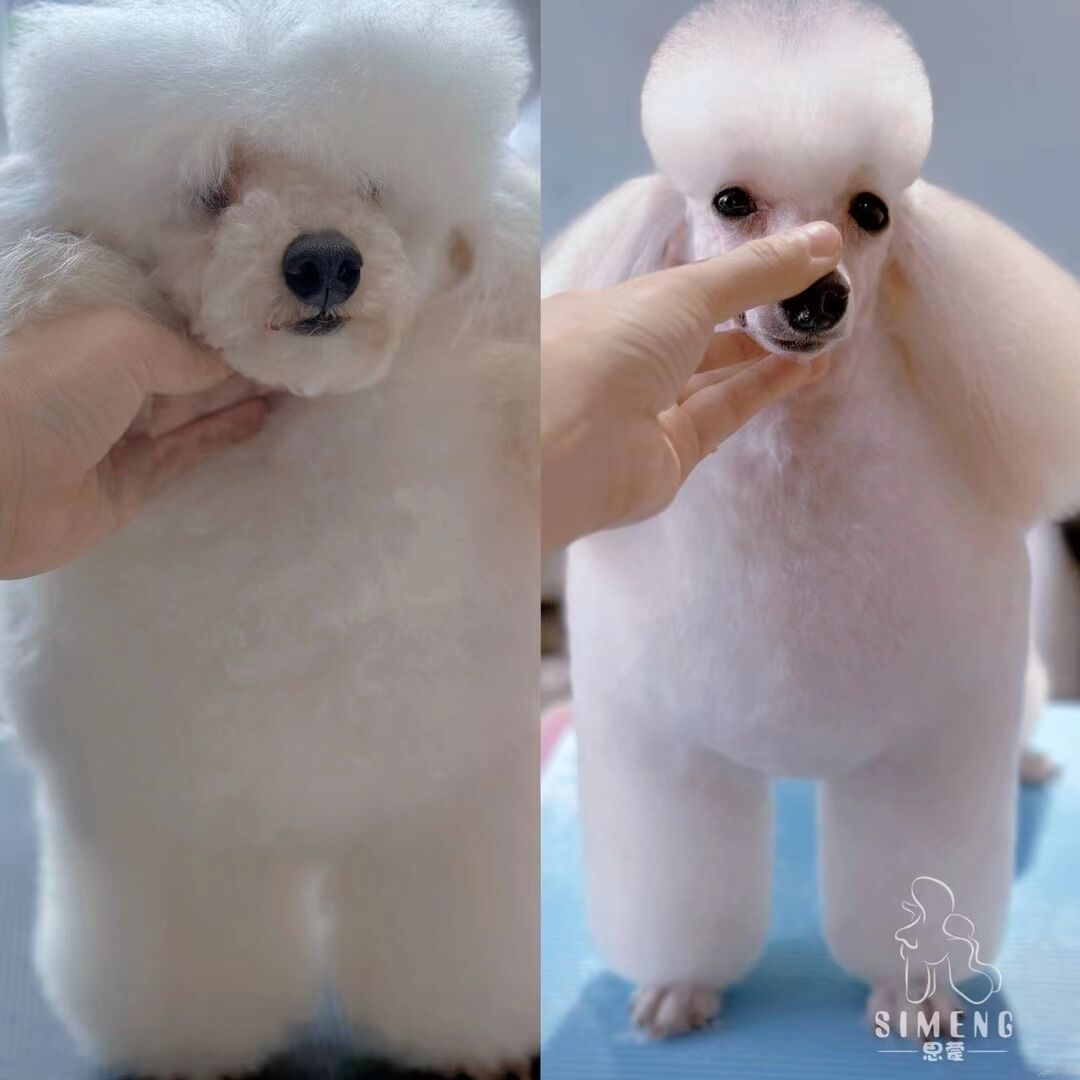 優秀作品
