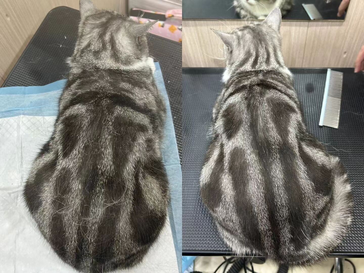優秀作品