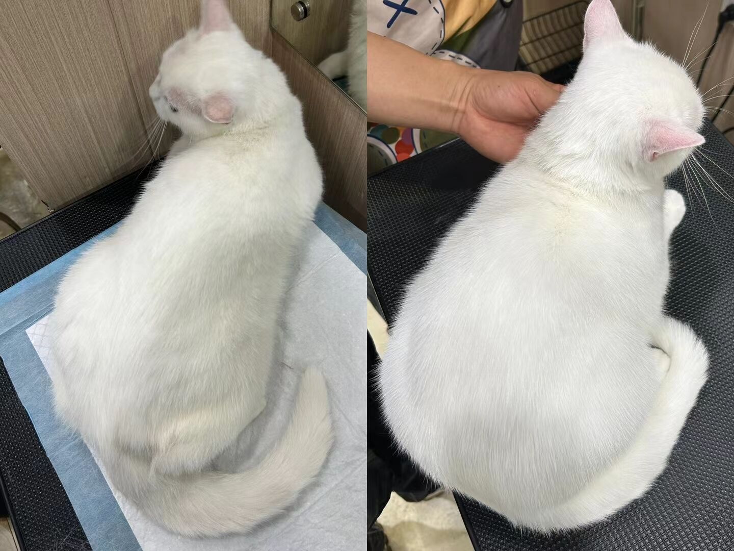 優秀作品