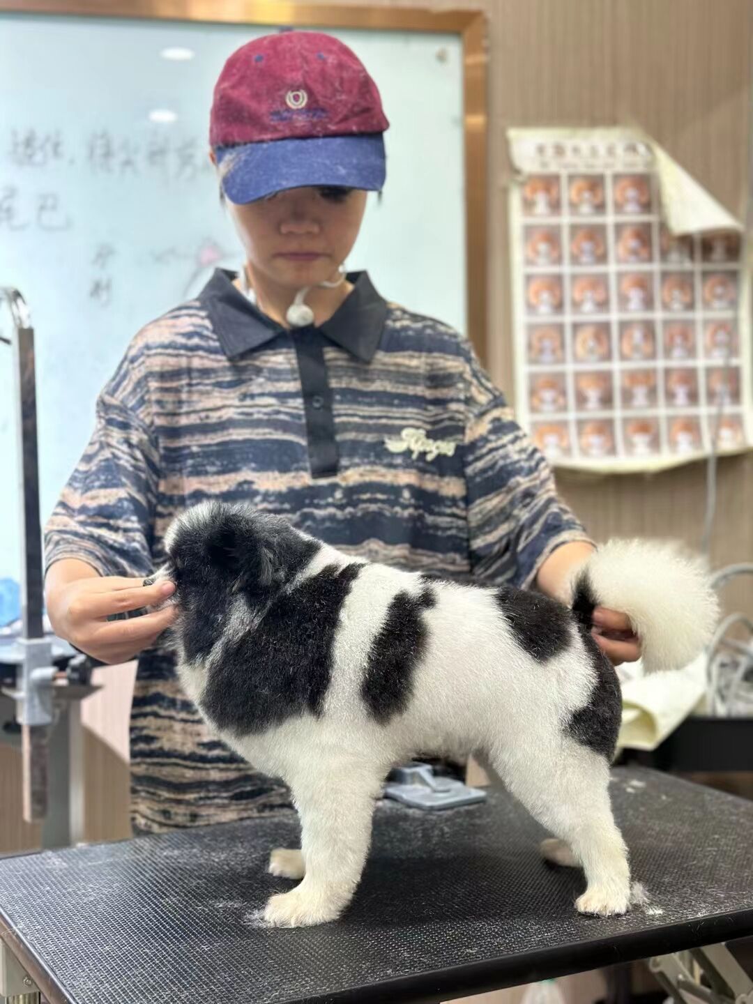 優(yōu)秀作品