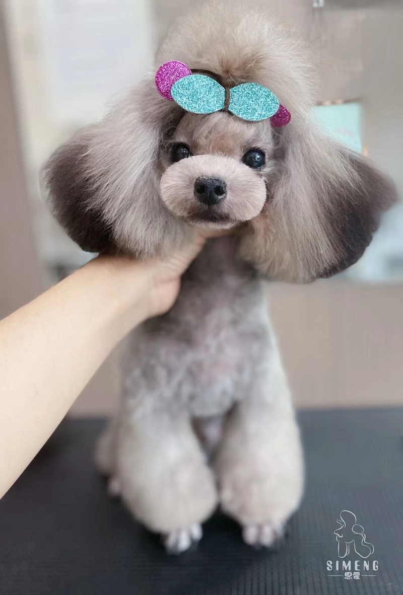 優秀作品