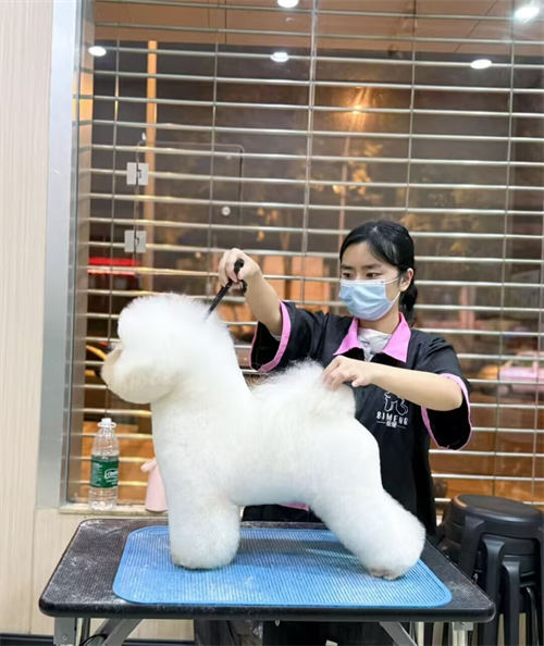 優秀作品