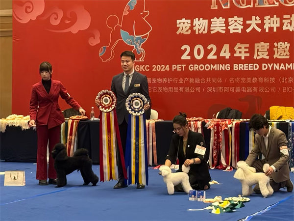 我們的榮譽