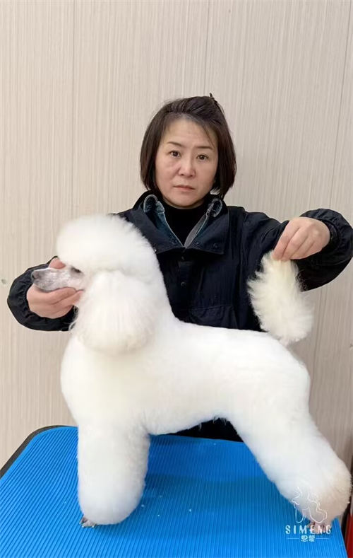 優秀作品