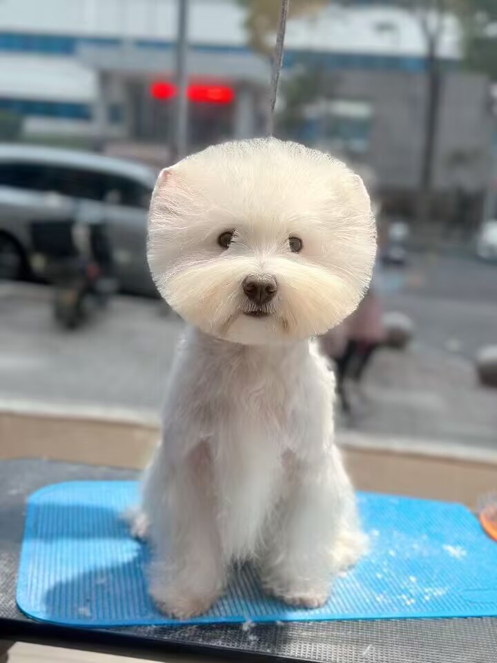 優秀作品