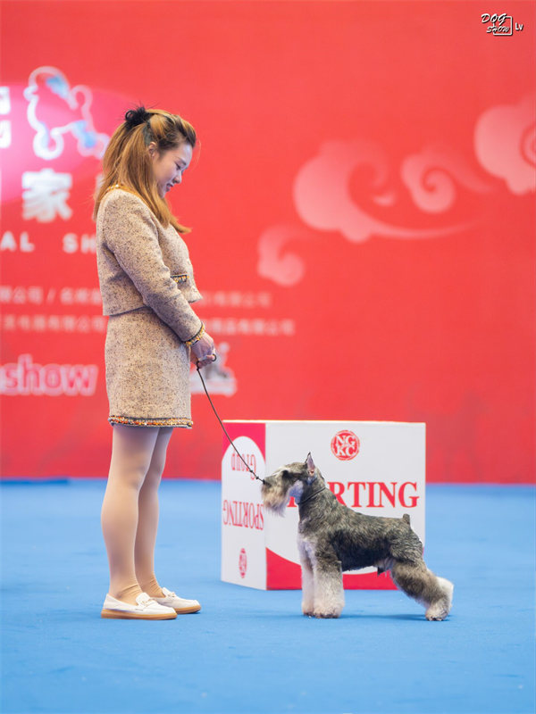 我們的榮譽(yù)
