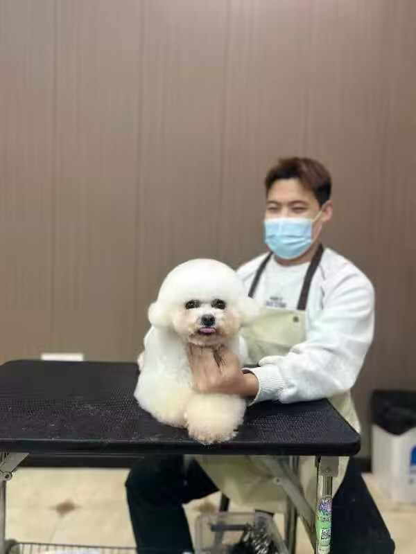 優秀作品