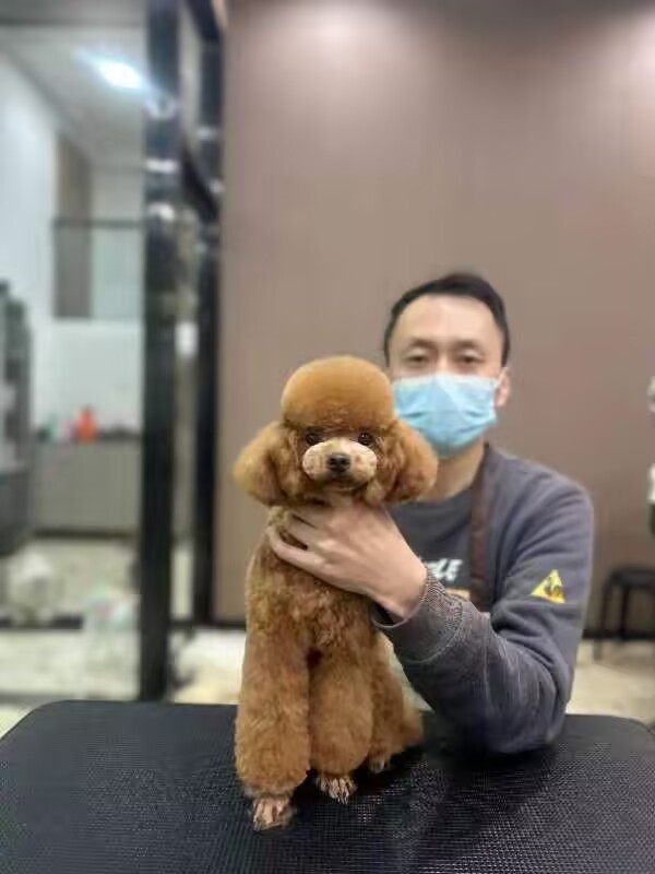 優秀作品
