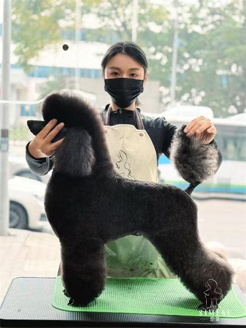 優秀作品
