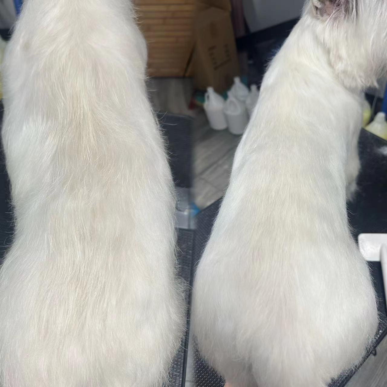 優(yōu)秀作品