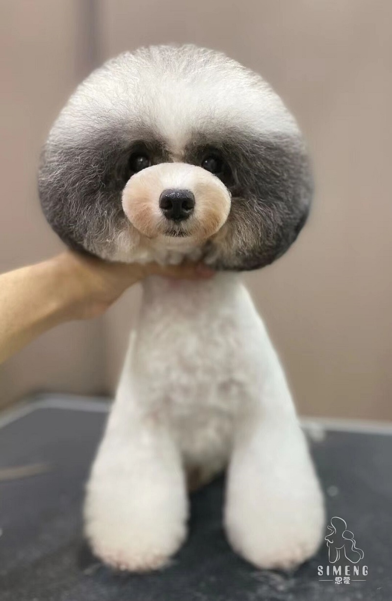 優秀作品