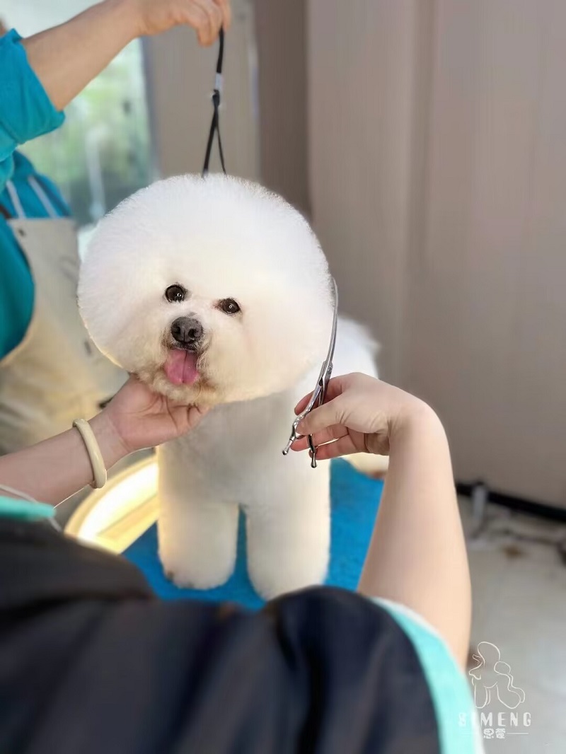 優秀作品
