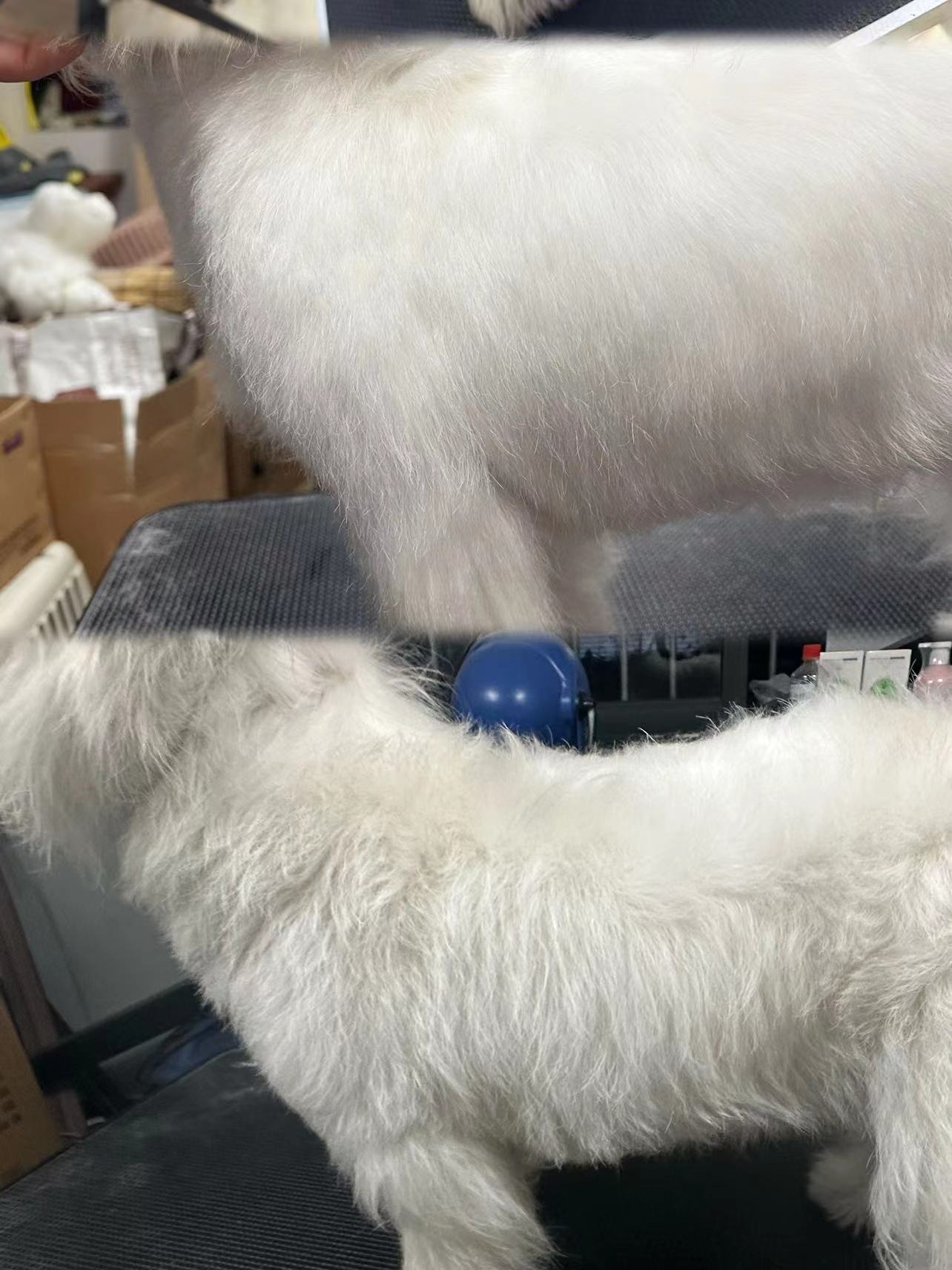 優秀作品