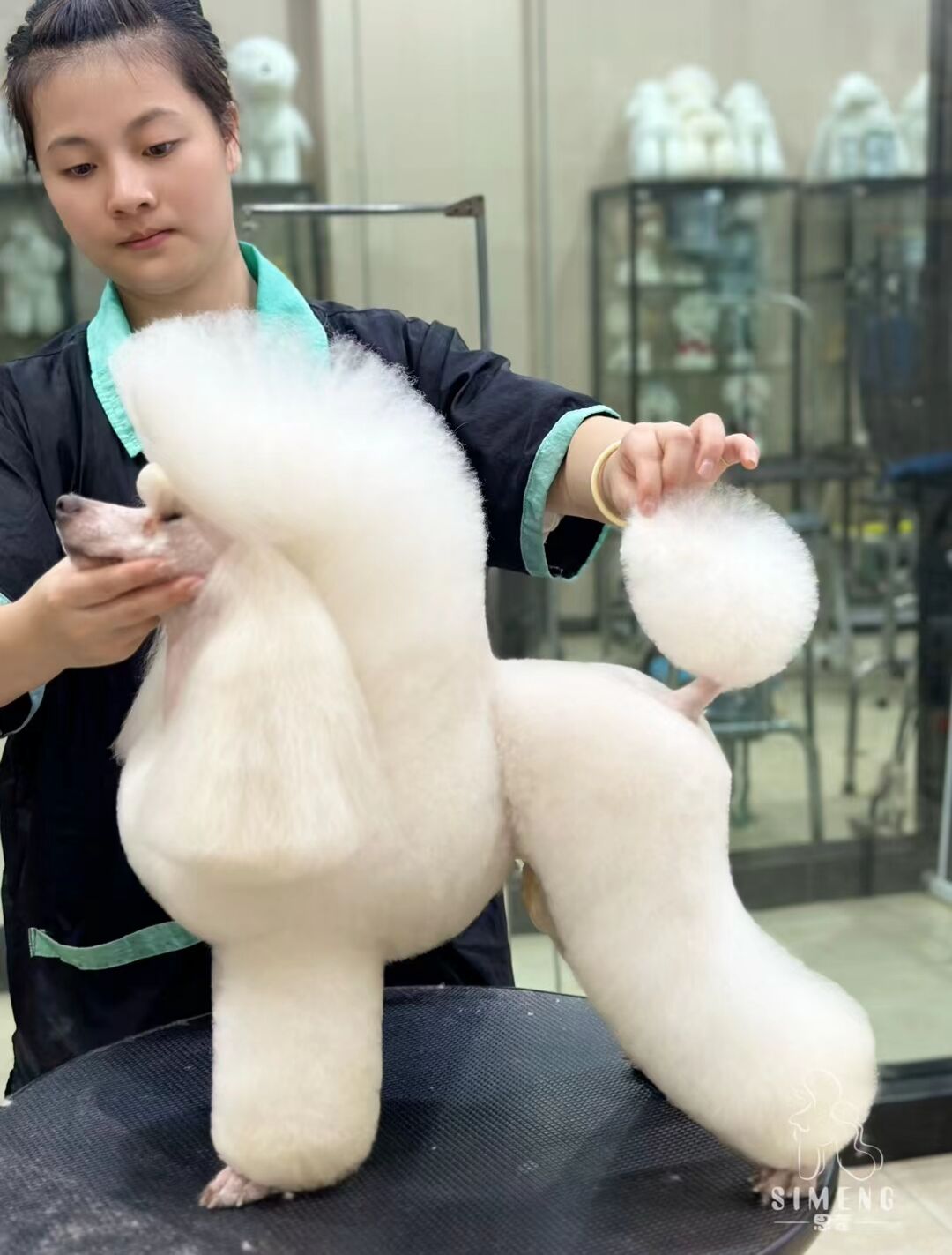 優(yōu)秀作品