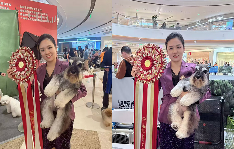 我們的榮譽
