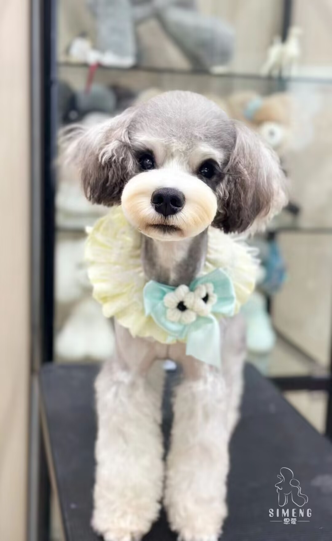 優秀作品