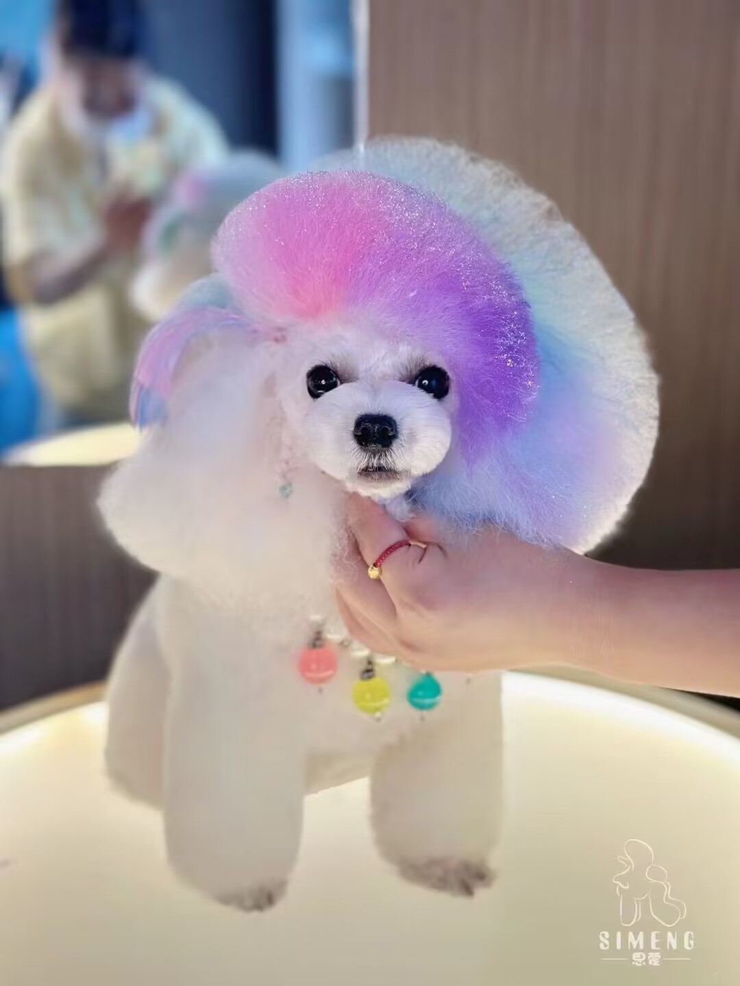 優秀作品