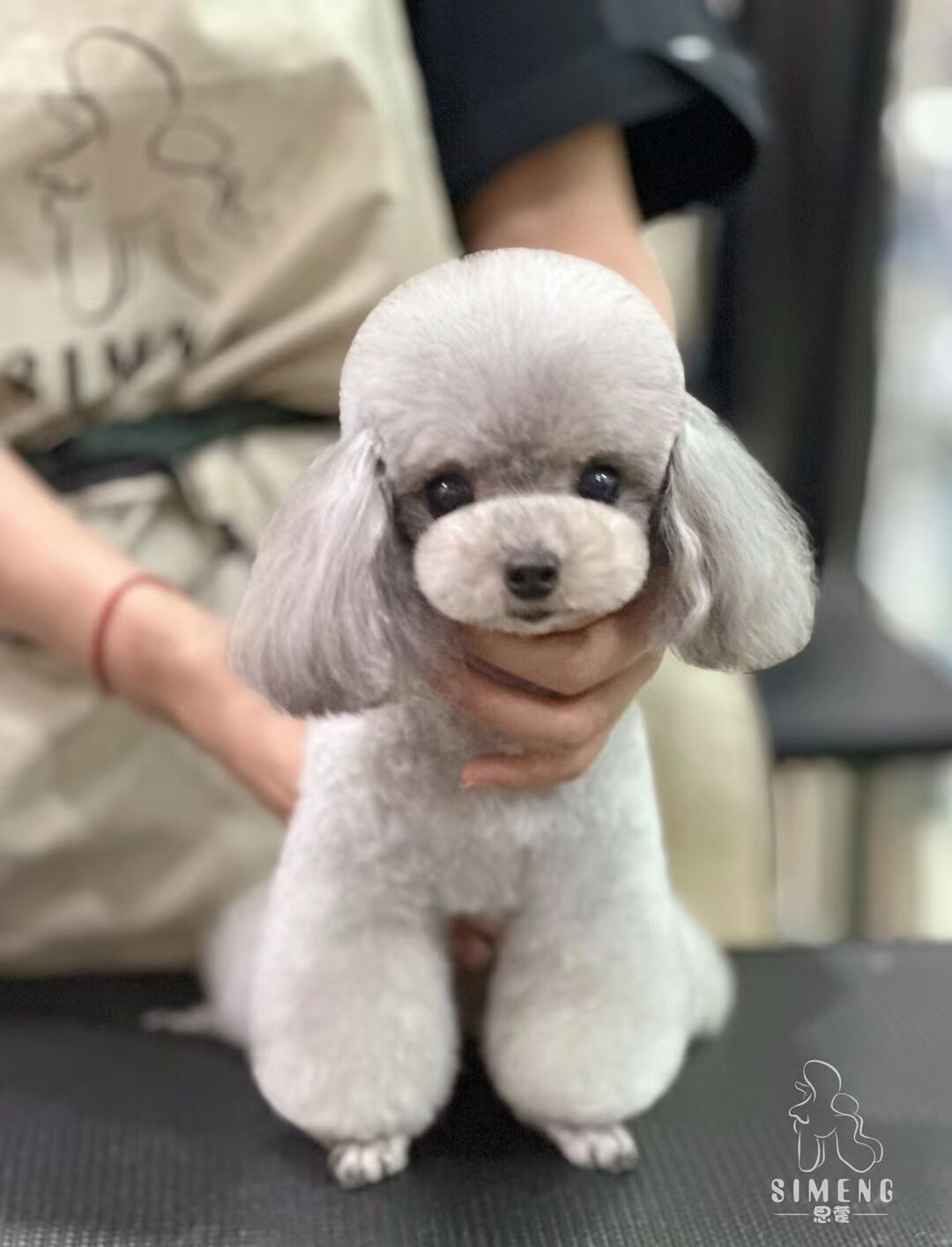 優秀作品