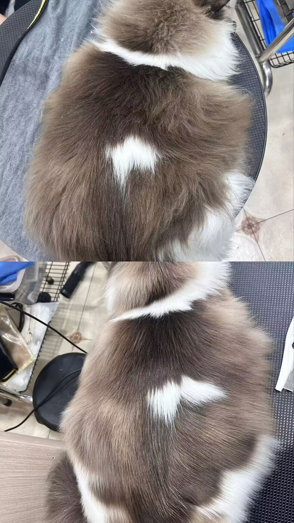 優(yōu)秀作品