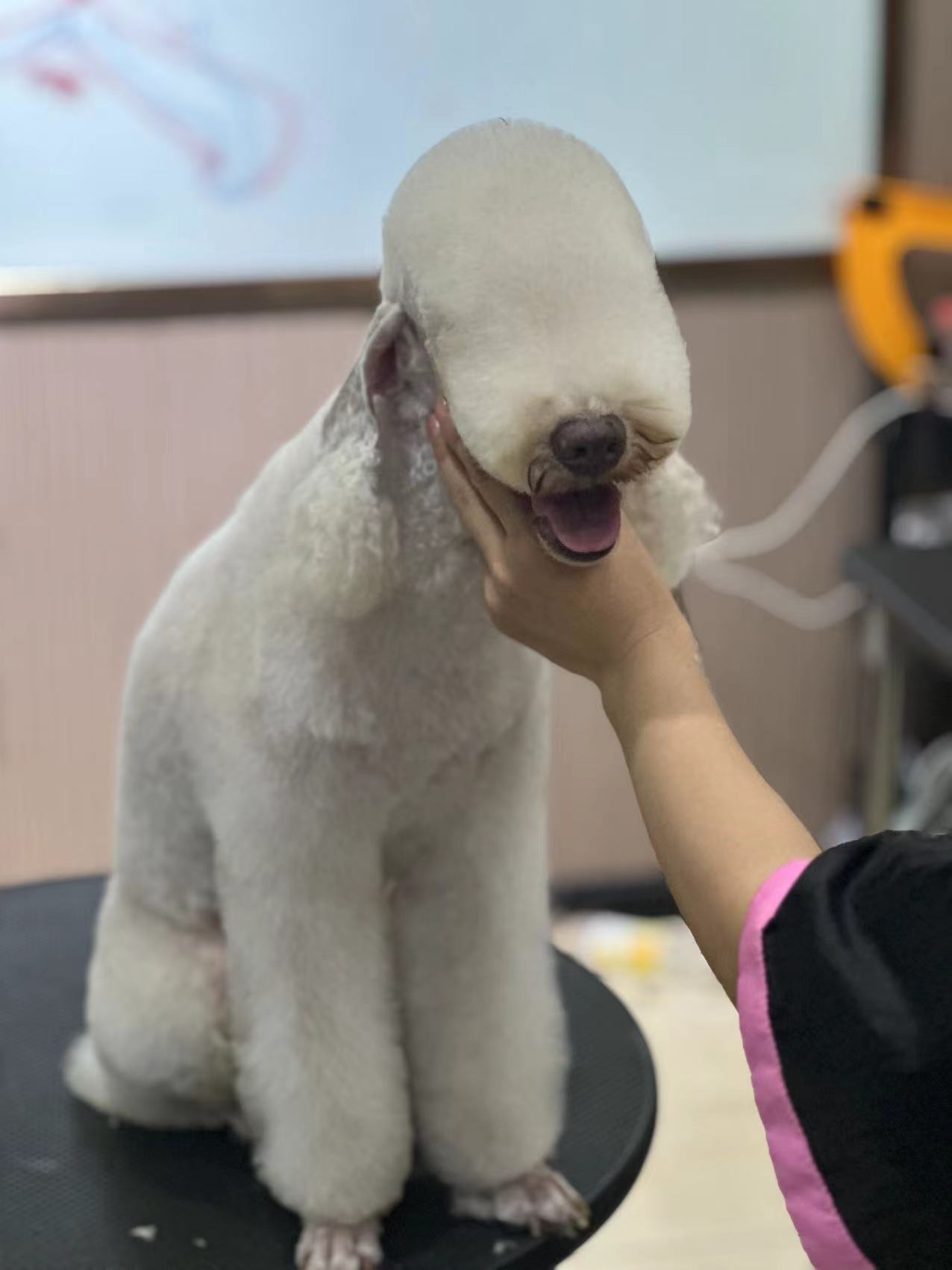 優秀作品