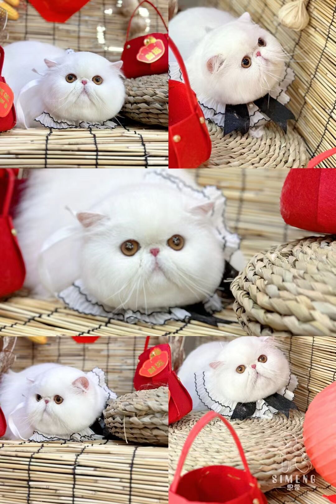 優秀作品