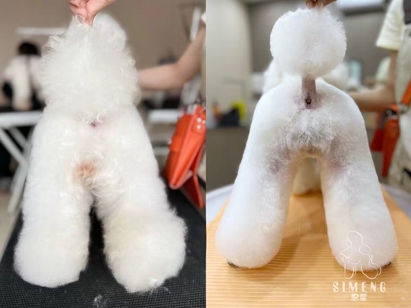 優(yōu)秀作品