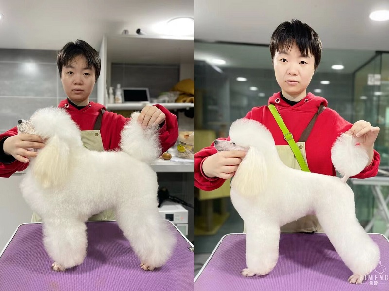 優(yōu)秀作品