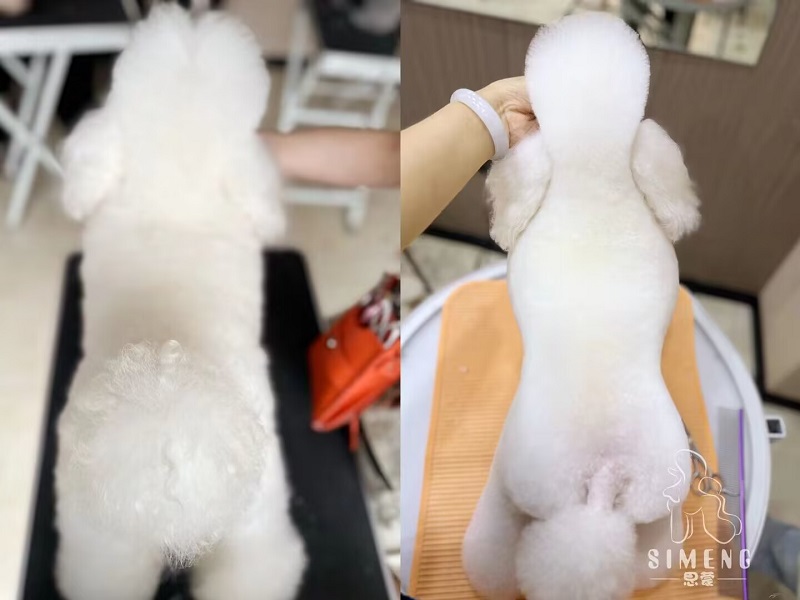 優(yōu)秀作品